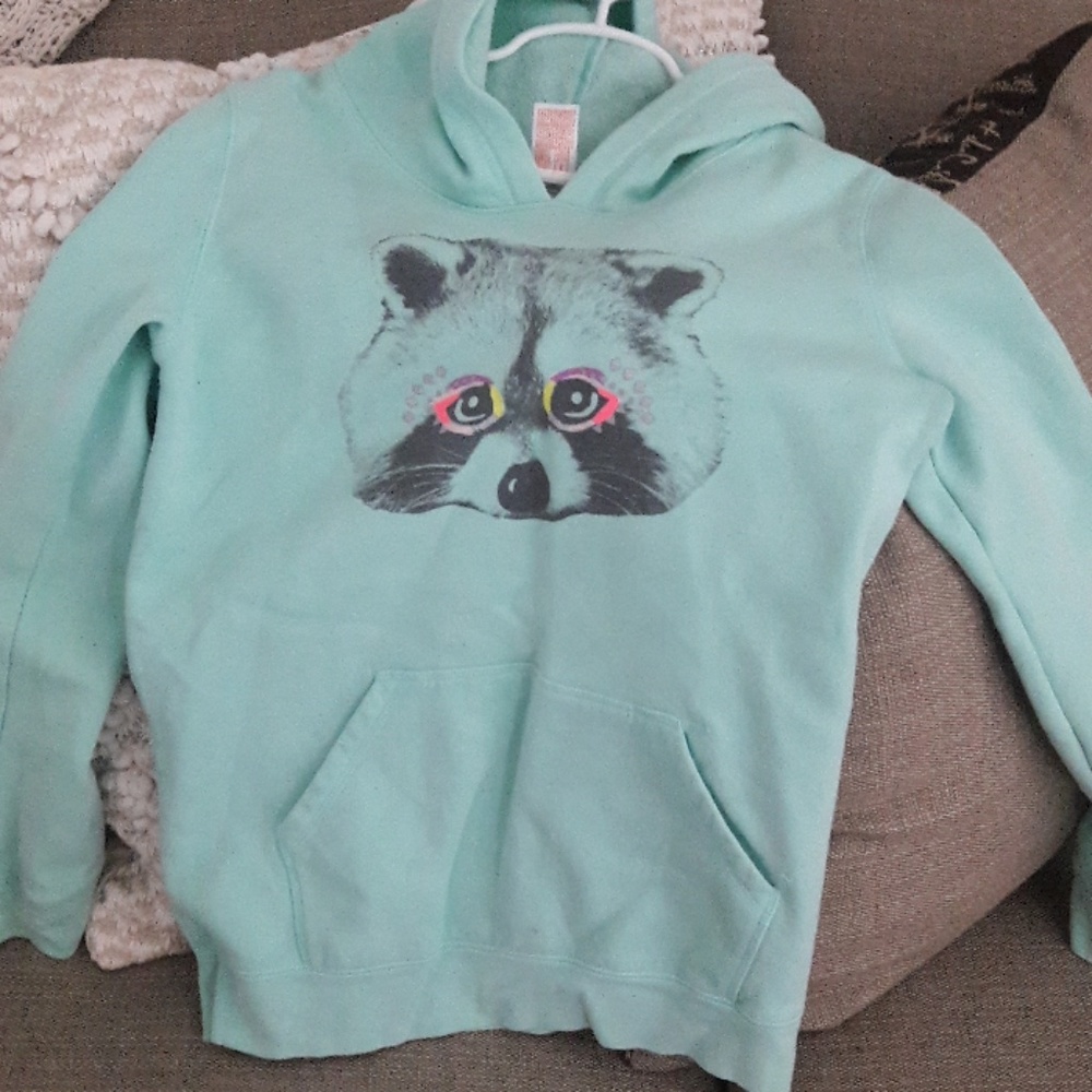 Cat and Jack hoodie